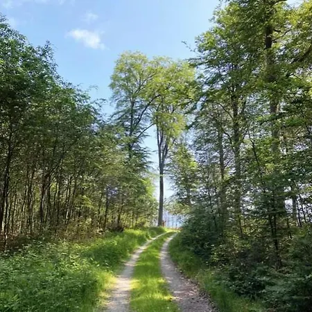 Vojre Teltet - Littlest Camp Tranekær